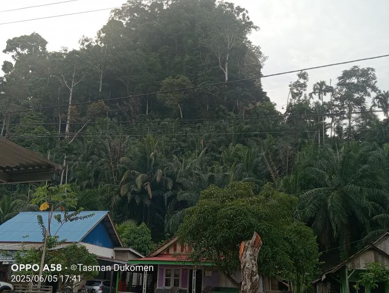 Poto Bukit telur desa tanjung dalam kec tetap kabupaten kaur 