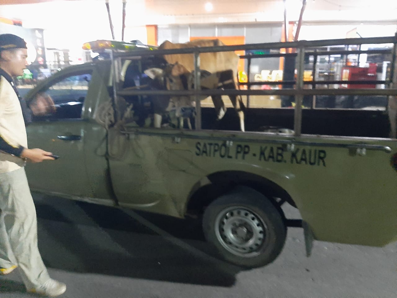Satpol PP