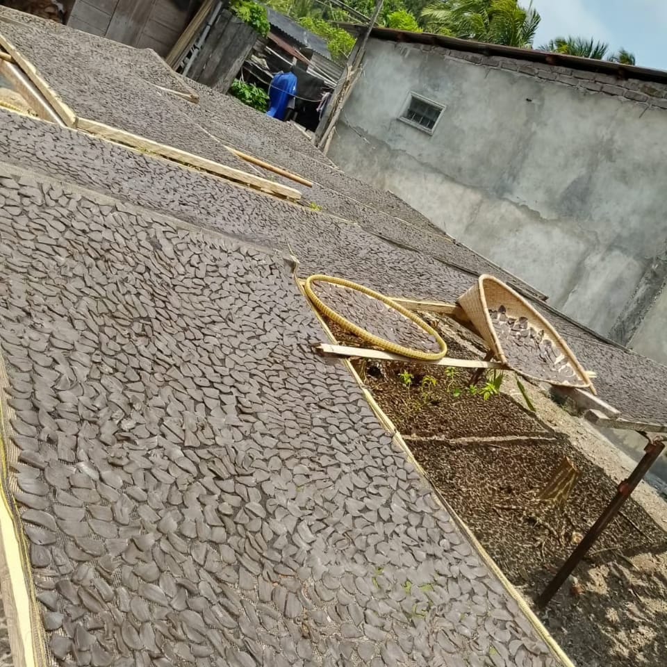 Proses pengeringan