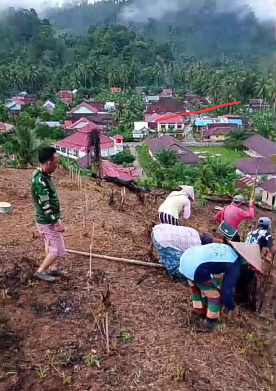 Pengaman jagung